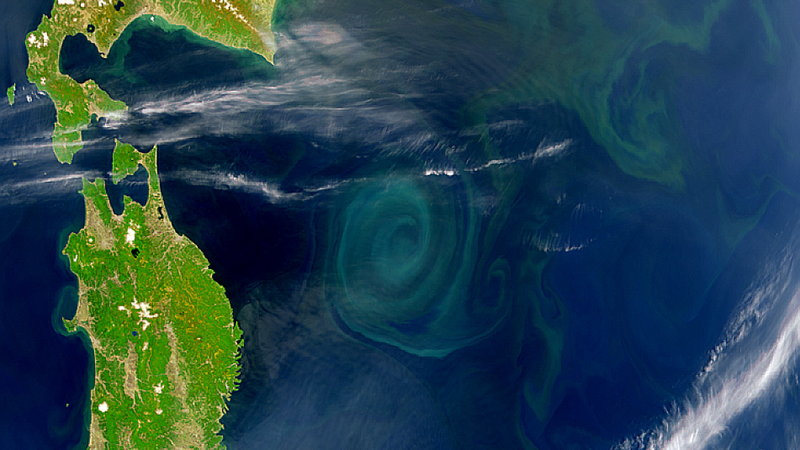 Illustration for article titled 32 Mesmerizing Photos of Vortices, From Soap Bubbles to Spiral Galaxies